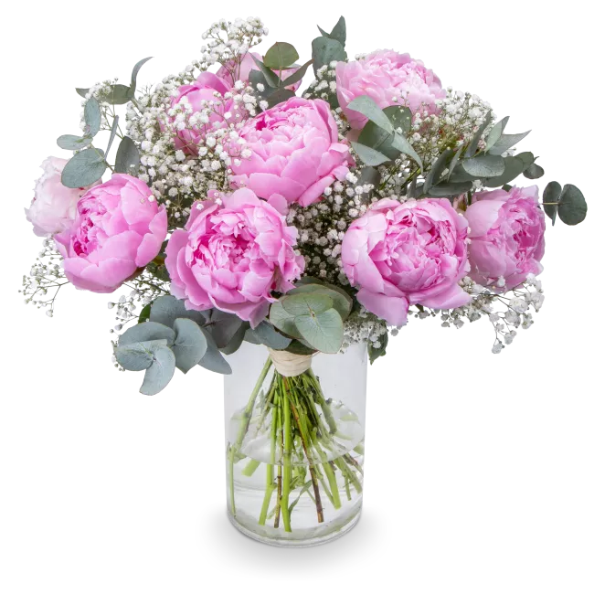 Bouquet of peonies